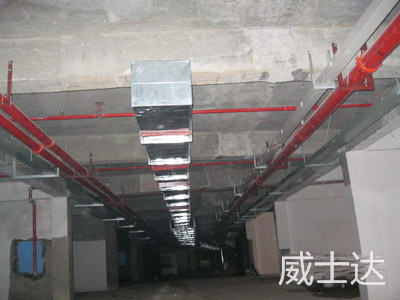 长沙青竹湖水印加州2